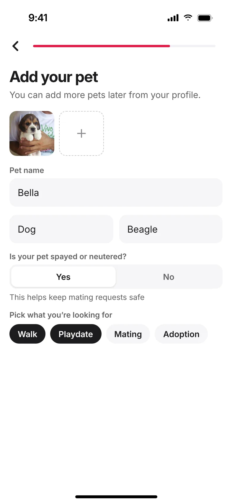 Add your pet: photos, name, type, breed, spayed or neutered and what you’re looking for
